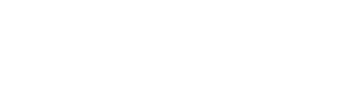 Austin International